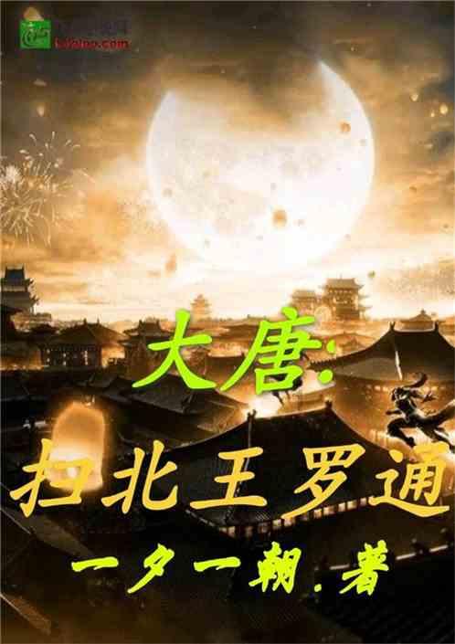 三国志13PK